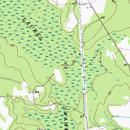 Topographic Map of Laurel Swamp, SC