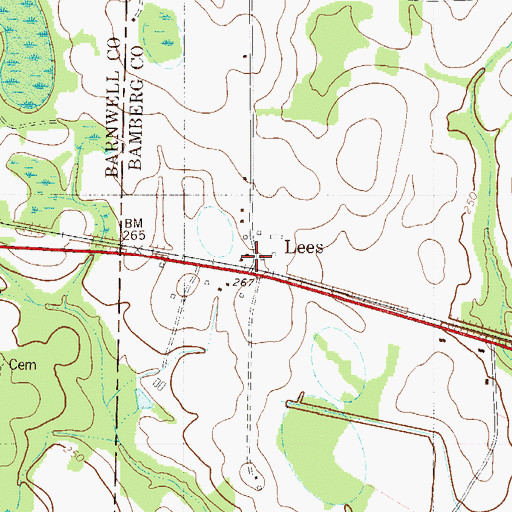 Topographic Map of Lees, SC