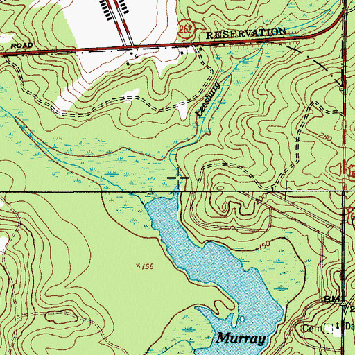 Topographic Map of Leesburg Branch, SC