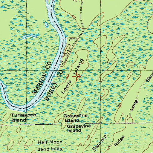 Topographic Map of Lewis Island, SC