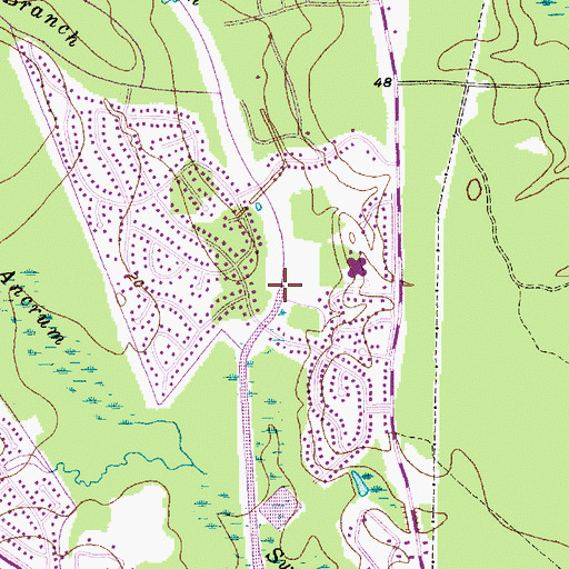 Topographic Map of Limehouse Branch, SC