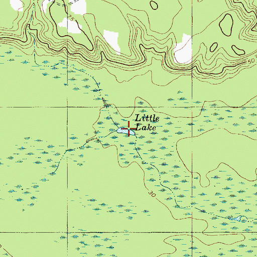 Topographic Map of Little Lake, SC