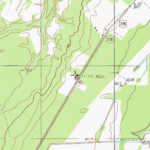 Topographic Map of Little Rock Church, SC