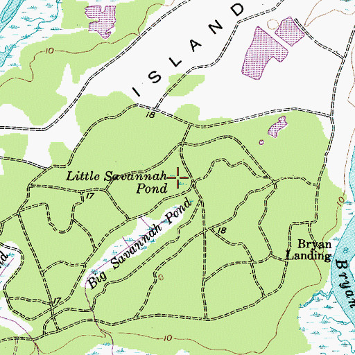 Topographic Map of Little Savannah Pond, SC