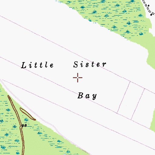 Topographic Map of Little Sister Bay, SC