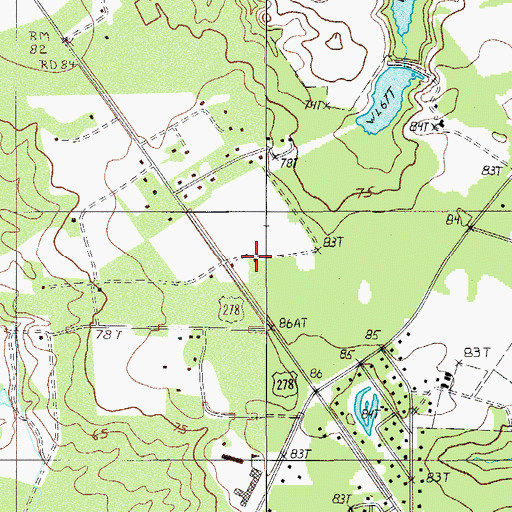 Topographic Map of Liveoak School, SC