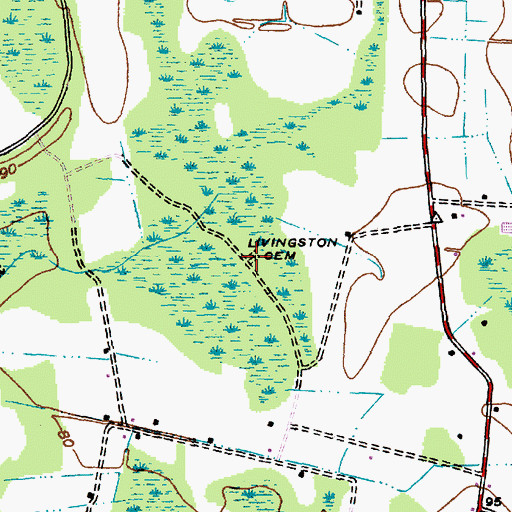 Topographic Map of Livingston Cemetery, SC