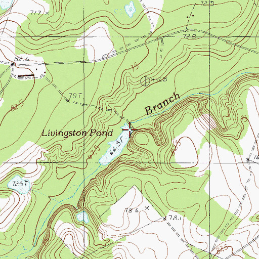 Topographic Map of Livingston Pond, SC
