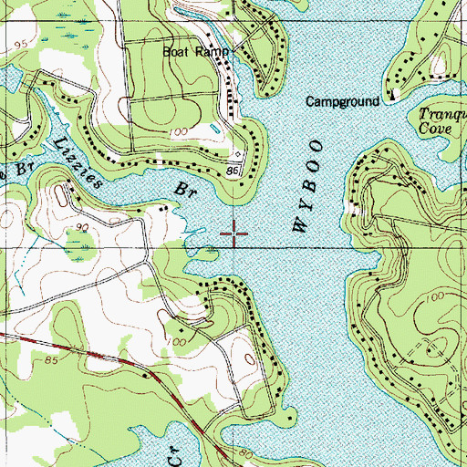 Topographic Map of Lizzies Branch, SC