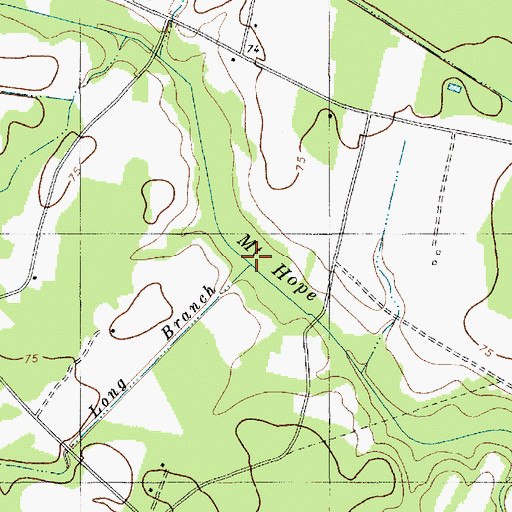 Topographic Map of Long Branch, SC