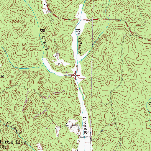 Topographic Map of Long Branch, SC