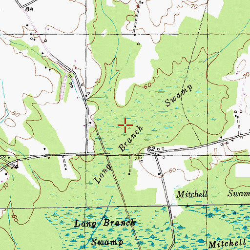Topographic Map of Long Branch Swamp, SC