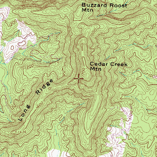 Topographic Map of Long Ridge, SC