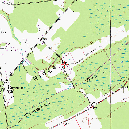 Topographic Map of Long Ridge, SC