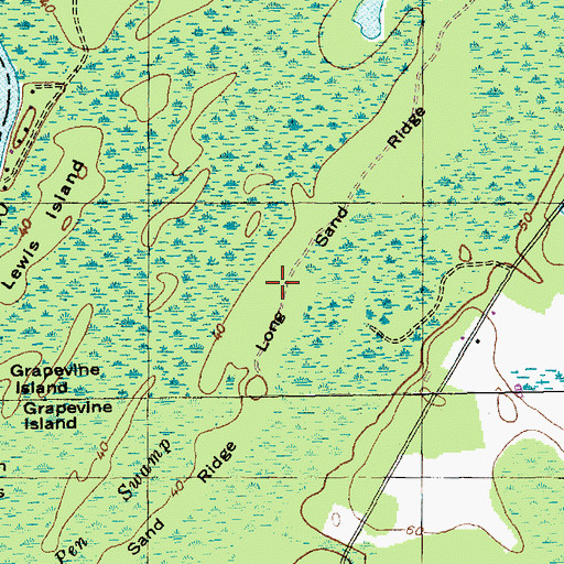Topographic Map of Long Sand Ridge, SC