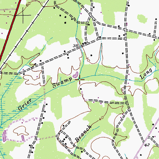 Topographic Map of Long Swamp, SC