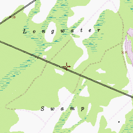 Topographic Map of Longwater Swamp, SC