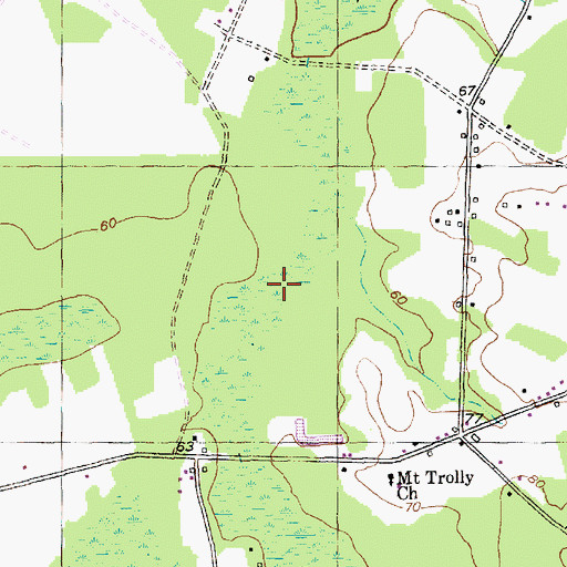 Topographic Map of Loosing Swamp, SC