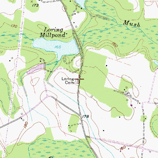 Topographic Map of Loring Cemetery, SC