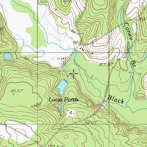 Topographic Map of Lucas Ponds, SC