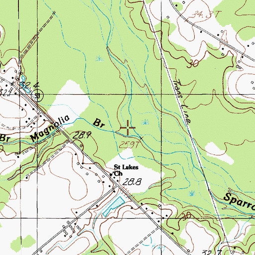 Topographic Map of Magnolia Branch, SC