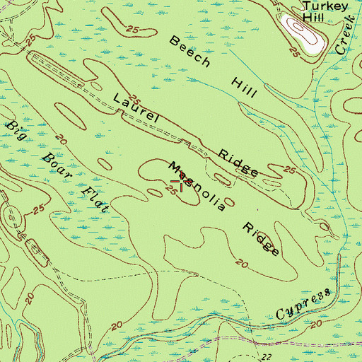 Topographic Map of Magnolia Ridge, SC