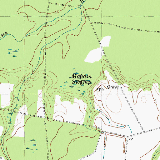 Topographic Map of Maham Swamp, SC