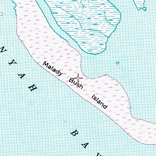 Topographic Map of Malady Bush Island, SC
