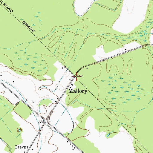 Topographic Map of Mallory, SC