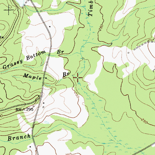 Topographic Map of Maple Branch, SC