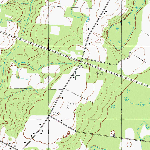 Topographic Map of Maple Cane School, SC