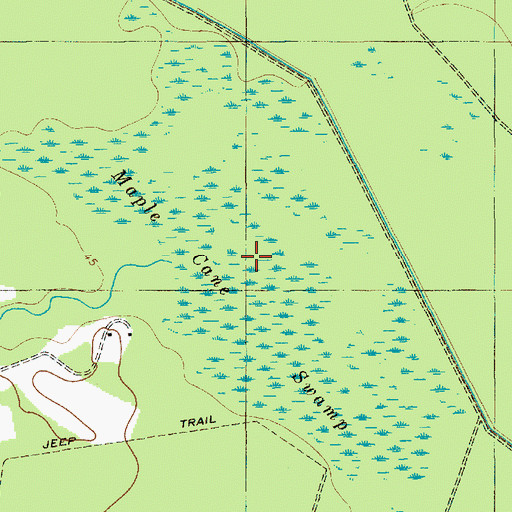 Topographic Map of Maple Cane Swamp, SC