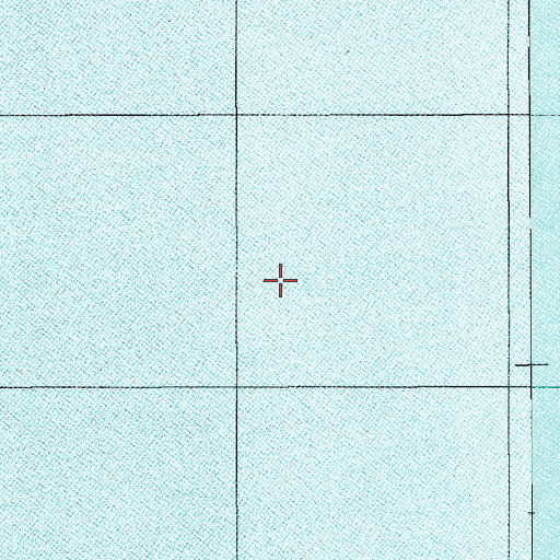 Topographic Map of Lake Marion, SC