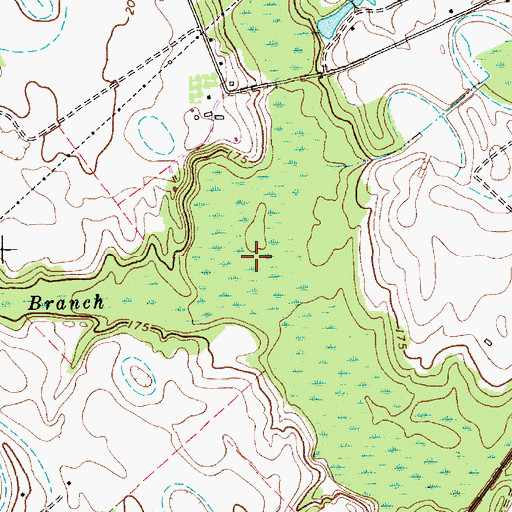 Topographic Map of Marsnip Branch, SC