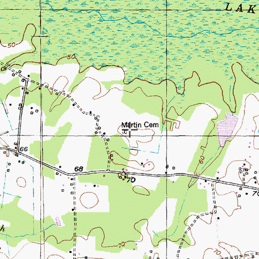 Topographic Map of Martin Cemetery, SC