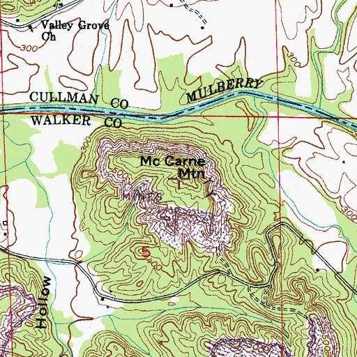 Topographic Map of McCarne Mountain, AL
