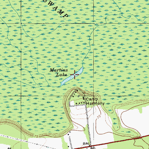 Topographic Map of Martins Lake, SC