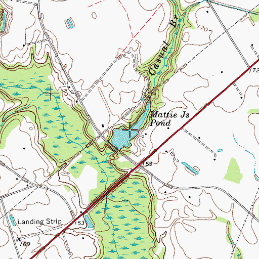 Topographic Map of Mattie Js Pond, SC