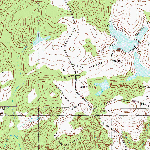 Topographic Map of McAdams Cemetery, SC
