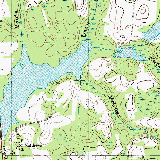 Topographic Map of McCoys Branch, SC
