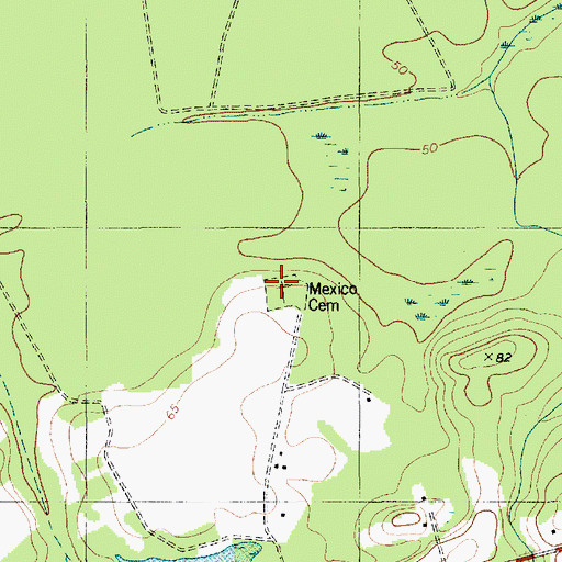 Topographic Map of Mexico Cemetery, SC
