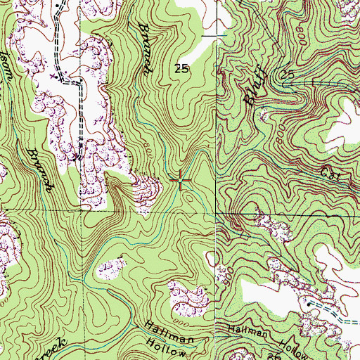 Topographic Map of McBrayer Branch, AL