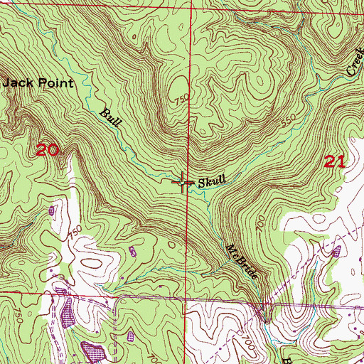 Topographic Map of McBride Branch, AL
