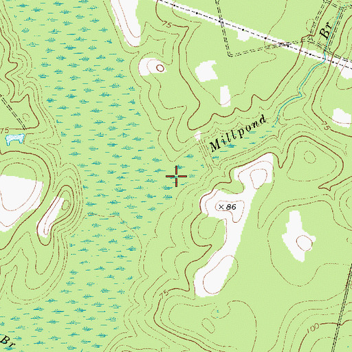 Topographic Map of Millpond Branch, SC