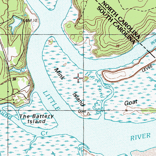 Topographic Map of Mink Island, SC