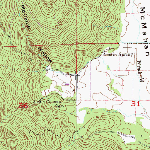 Topographic Map of McCallie Hollow, AL