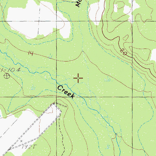 Topographic Map of Moore Branch, SC