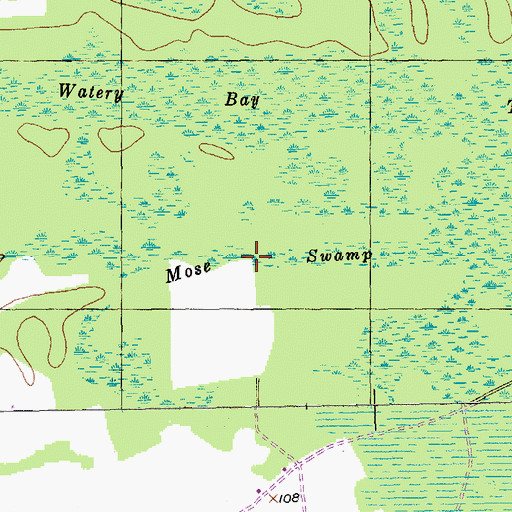 Topographic Map of Mose Swamp, SC