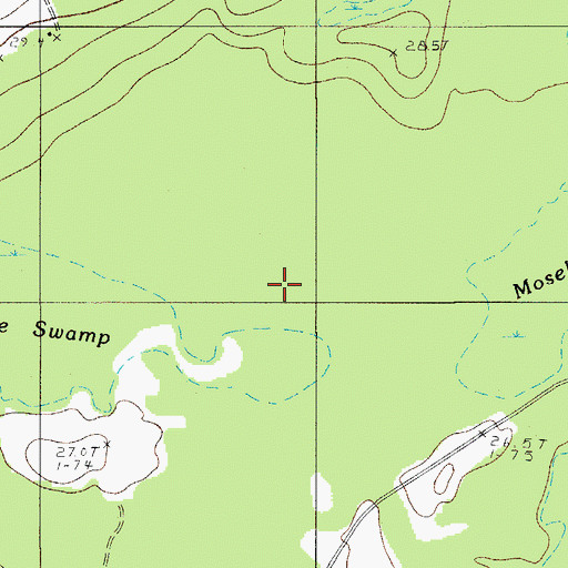 Topographic Map of Moselle Swamp, SC