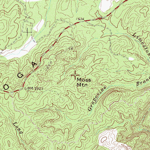 Topographic Map of Moss Mountain, SC
